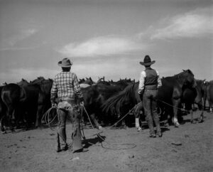 Two men standing in front of a herd of horses.