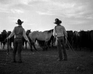Two men standing in a field with horses.