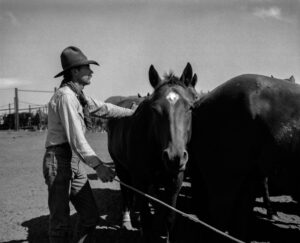 A man is standing next to two horses.