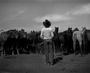 A man in cowboy hat standing next to horses.