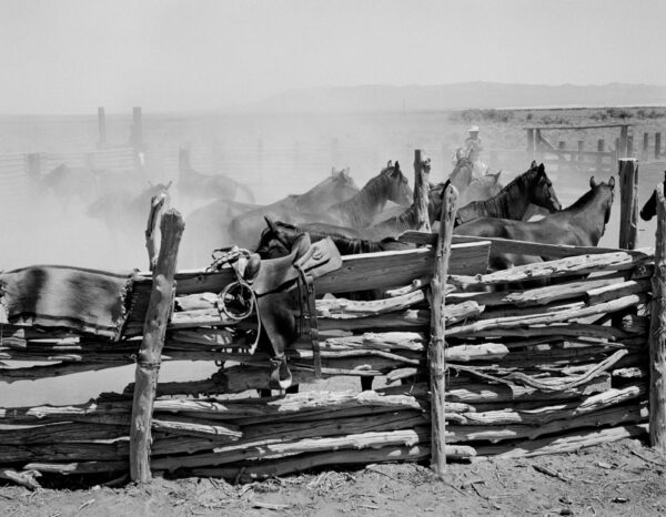 A man sitting on top of a wooden fence.