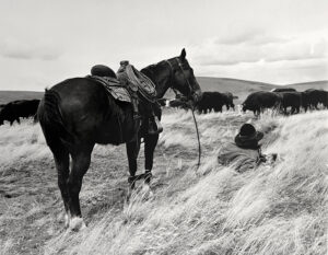 A man is sitting in the grass with his horse.