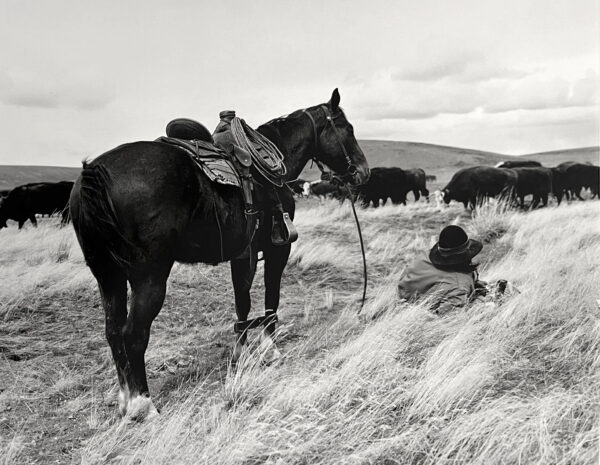 A man is sitting in the grass with his horse.