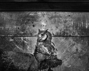 A black and white photo of an owl on the wall.