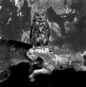 A black and white photo of an owl perched on a branch.