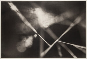 A black and white photo of some sticks