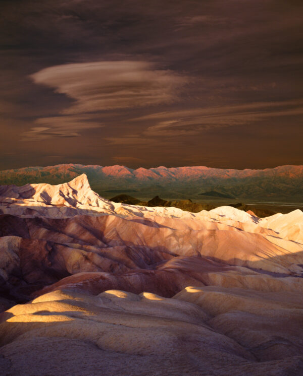 A painting of the desert landscape with mountains in the background.
