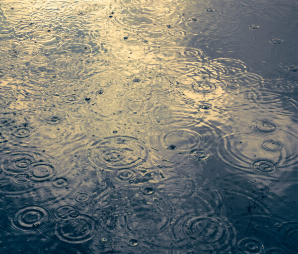 A close up of water with circles on it