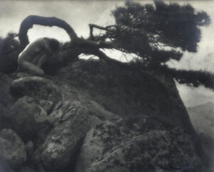 A black and white photo of a tree in the background.