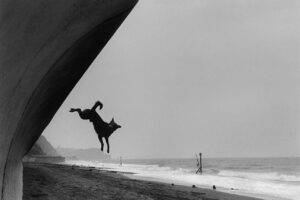 A dog jumping in the air on top of a beach.