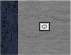 A gray and blue album with a picture of an animal.