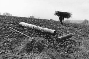 A man is standing in the middle of a field.