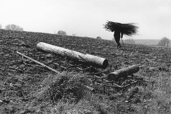 A man is standing in the middle of a field.