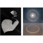Purchase TWO GENERATIONS 2023 Exhibition works