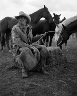 A man sitting on top of hay with horses.
