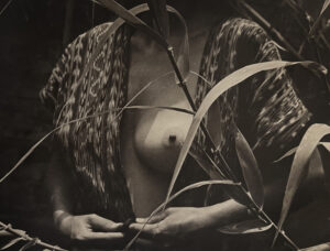 A woman with her hands in the grass.