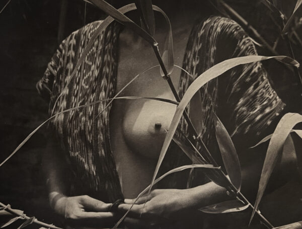A woman with her hands in the grass.