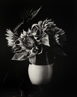 A black and white photo of flowers in a vase.