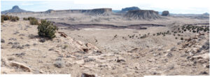 A desert landscape with mountains in the background.