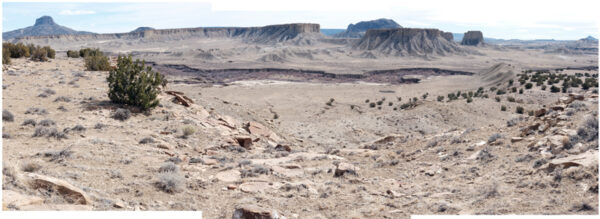 A desert landscape with mountains in the background.