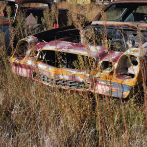 A bunch of old cars that are in the grass