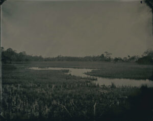 A black and white photo of a field with water