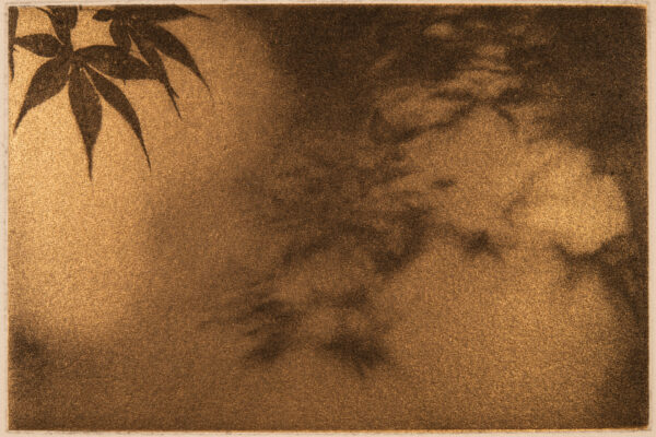 A brown background with some leaves and clouds