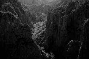A black and white photo of mountains with trees in the foreground.
