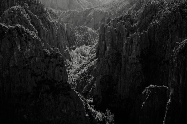 A black and white photo of mountains with trees in the foreground.