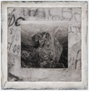 A bear is sitting on top of a rock.