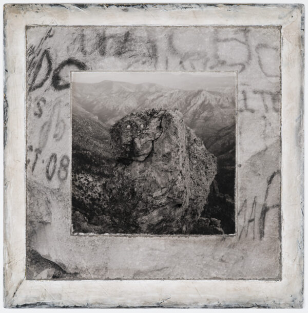 A bear is sitting on top of a rock.
