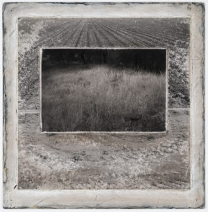 A black and white photo of an empty field.