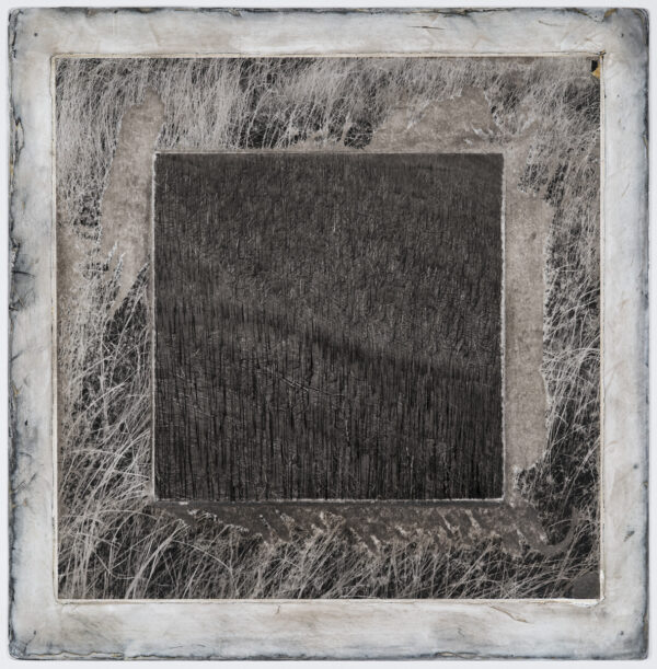 A square picture frame with grass in it.