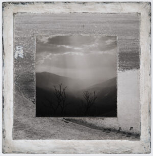 A black and white photo of trees in the distance.
