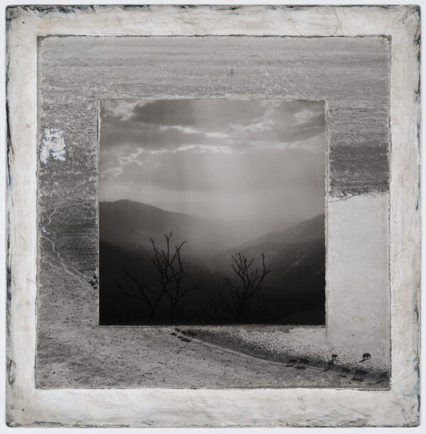 A black and white photo of trees in the distance.