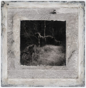 A black and white photo of trees in the middle of a square.