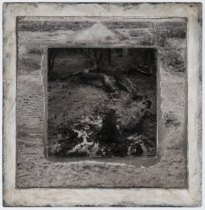 A picture of the ground in front of trees.