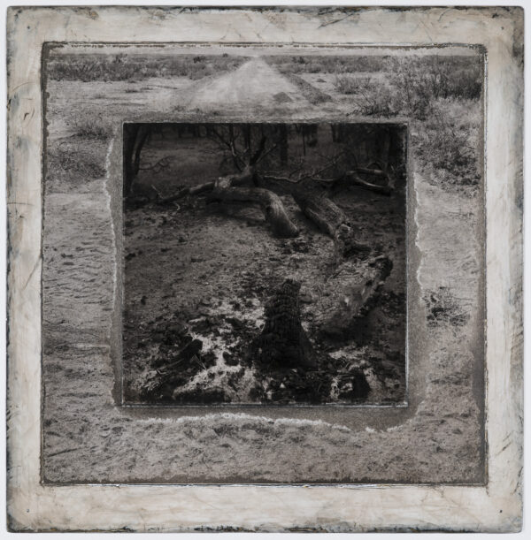 A picture of the ground in front of trees.