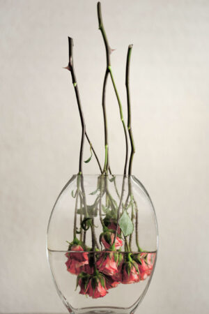 A vase with roses in it is shown.