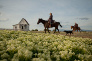 A man riding on the back of a horse in a field.