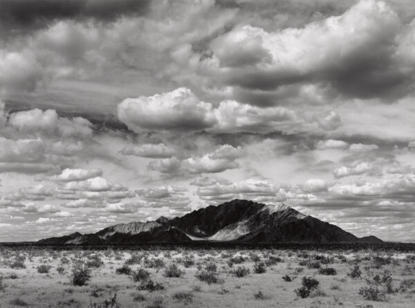 A black and white photo of a desert landscape.