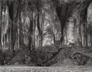 A black and white photo of some rocks