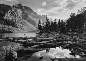 A black and white photo of trees, mountains and water.