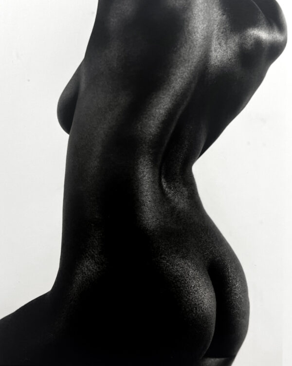 A black woman 's back and torso in the nude.
