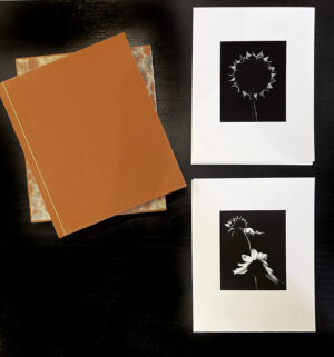A book and two pictures on the table
