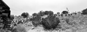 A group of people standing around bushes on top of a hill.