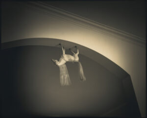 A cat is hanging upside down in the ceiling.