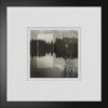 A black and white photo of trees in the background.
