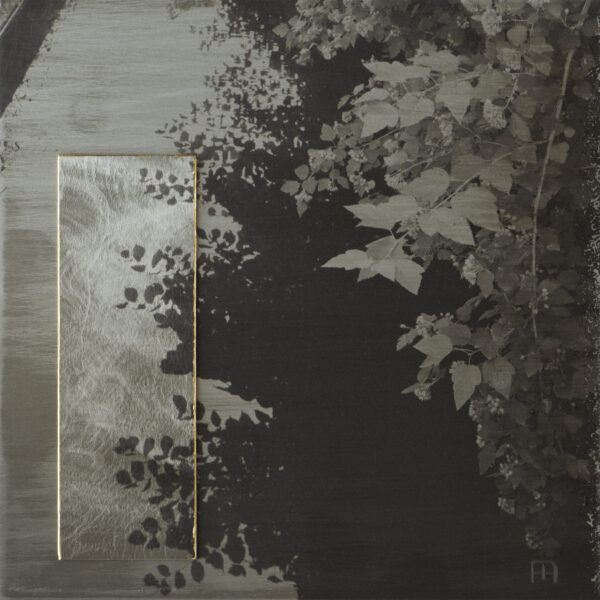 A black and white photo of leaves on the ground.