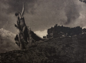 A black and white photo of a tree on top of a hill.